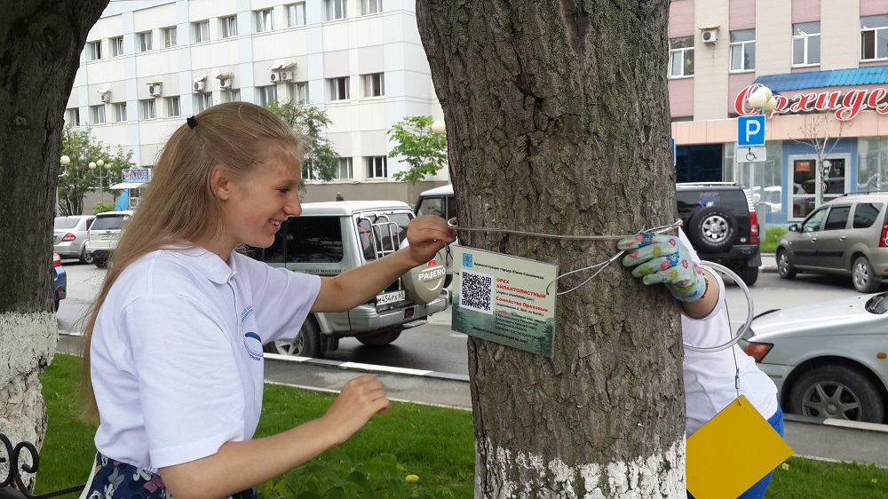 Новость проекта. На 200 краснокнижных деревьях Южно-Сахалинска появятся QR-коды