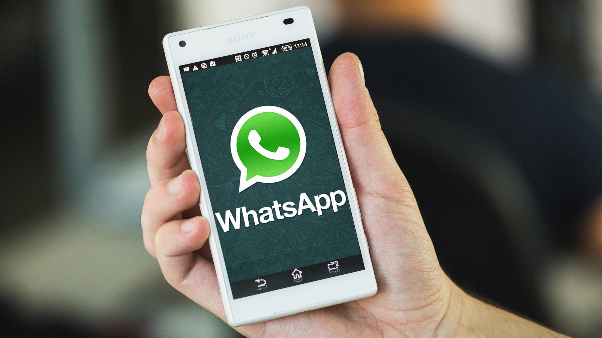 Новость проекта. В WhatsApp появится удобный способ добавления контактов посредством QR кодов